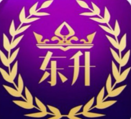东升国际